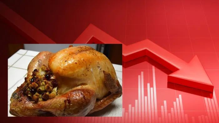 Thanksgiving Food and Travel Costs Much Lower Than Previous Years (meidastouch.com)