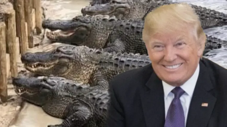 Trump Proposed Feeding Migrant Children to Alligators in Truth Social Post (meidastouch.com)